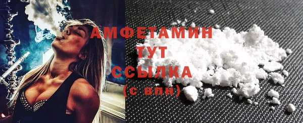 хмурый Магас