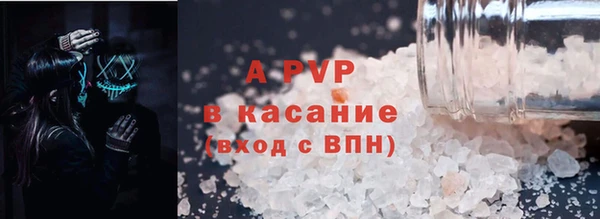 хмурый Магас