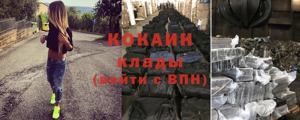 хмурый Магас