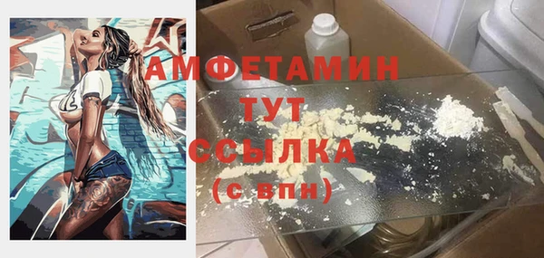 хмурый Магас