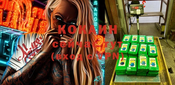 хмурый Магас