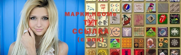 хмурый Магас
