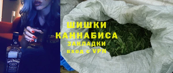 хмурый Магас